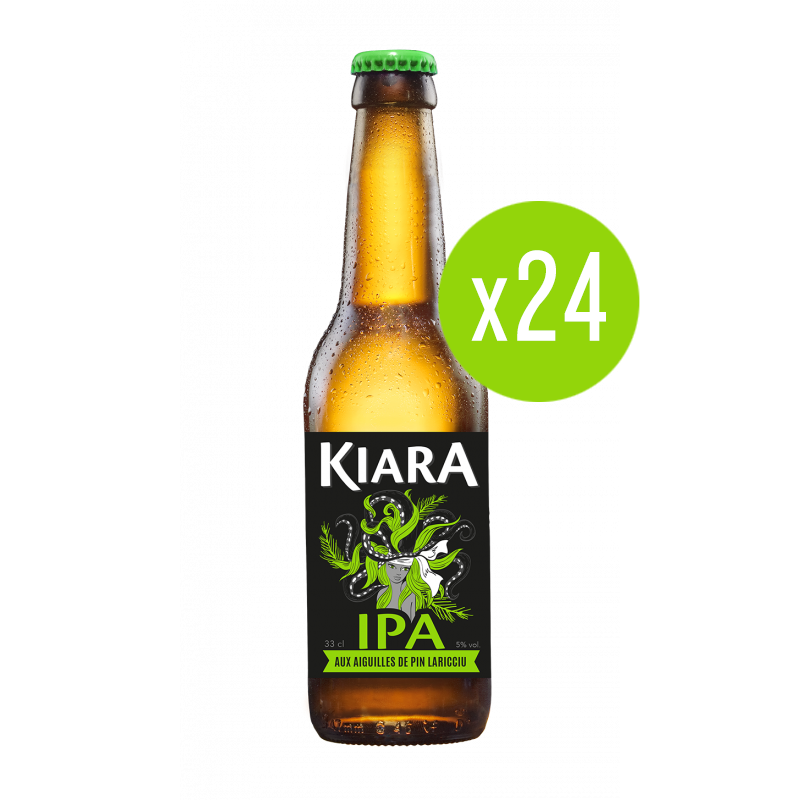 IPA 33cl _ Carton x24