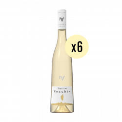 Domaine Terra Vecchia IGP Blanc 2022 (x6)