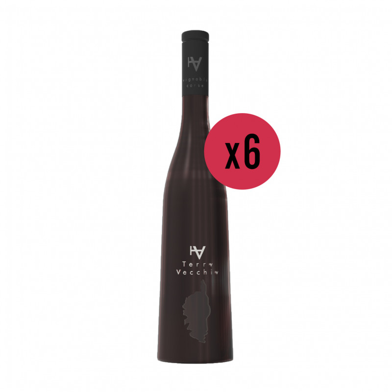 Verre à vin rouge - collection BRASSERIE (x6)